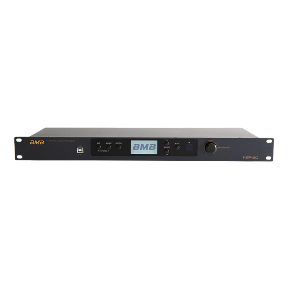 Sound Processor (DSP) 3.1 or 4 Channel